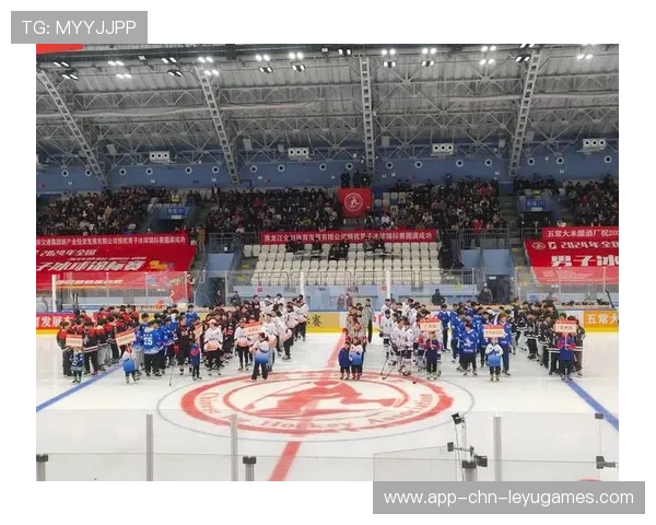 冰球球场升级引入智能检票与看台互动系统